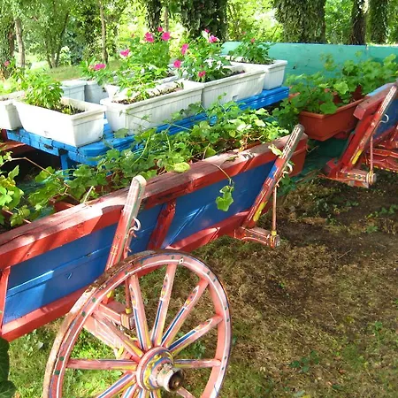 Odessos Park Daire *